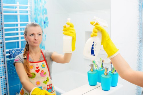 Professional window cleaning for Kingston homes and local properties