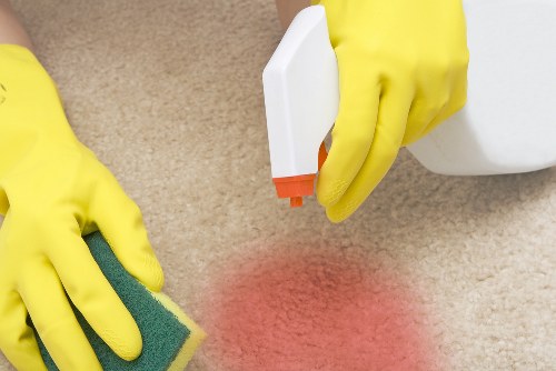Professional Kingston carpet cleaning service introduction