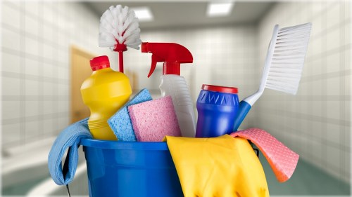 Professional carpet cleaning service for Kingston homes and flats
