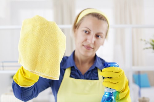 Professional steam carpet cleaning for Kingston homes and stairways