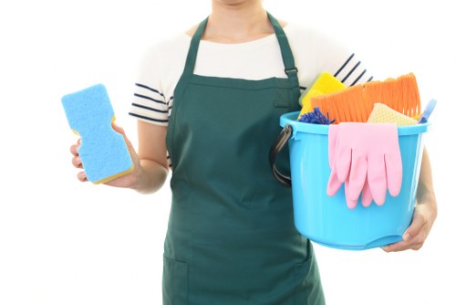 Regular cleaning service for Kingston homes and flats