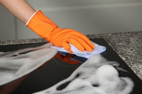 Stain removal service for carpets and upholstery in Kingston