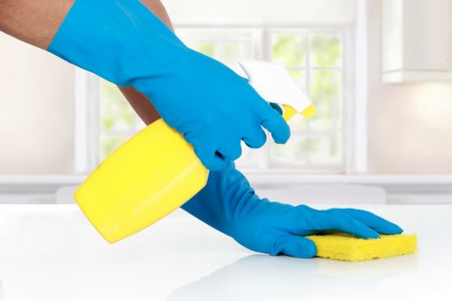 Local oven cleaning appointment in a Kingston kitchen