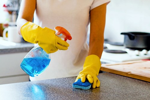 Illustration of screen-reader friendly carpet cleaning web content
