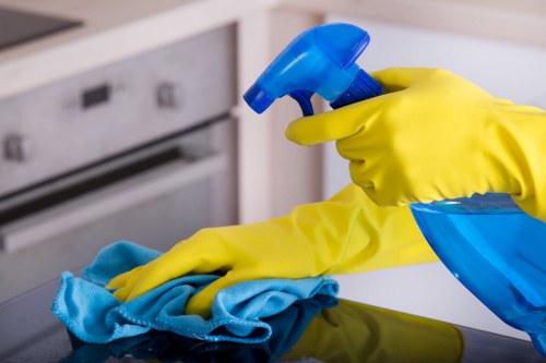 Range cooker and oven cleaning service in Kingston