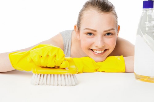 Carpet and fabric stain removal support for Kingston properties