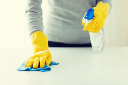 Routine home cleaning for families in Kingston