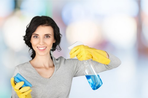 Detailed kitchen and bathroom deep cleaning in Kingston