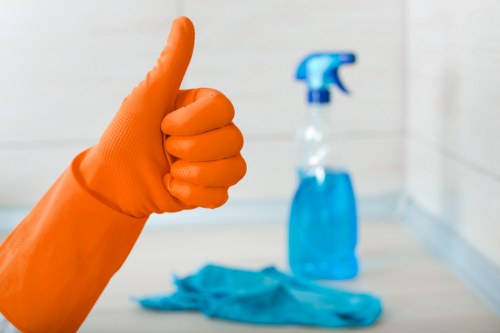 Kitchen and bathroom domestic cleaning in Kingston for busy family households