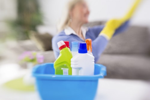 Deep cleaning equipment used for pet stain and smell removal