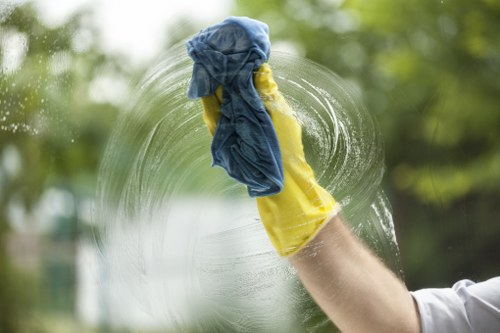 Water-fed pole window cleaning on a residential property in Kingston