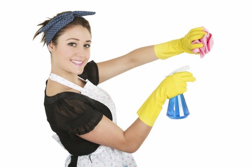 Governing law and final terms for the cleaning service