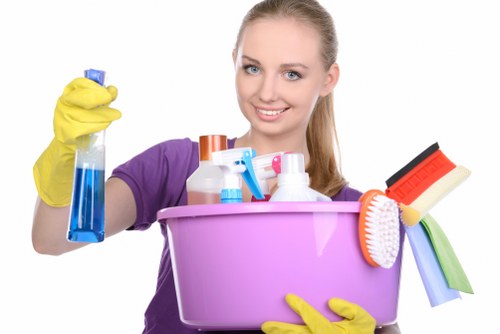 Deep cleaning for a Kingston apartment with access considerations