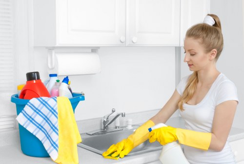 Local exterior cleaning service for Kingston homes and businesses