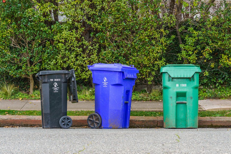 Three residential wheelie bins are positioned on a paved curb side in front of a dense green hedge. The black bin on the left is slightly smaller, with a closed lid and a set of wheels at the base. The middle bin is larger, blue, with a closed lid, and has two wheels visible. The green bin on the right is of similar size to the blue one, with a top lid closed, and no visible wheels. The surface beneath the bins is a smooth asphalt, with a concrete curb separating the pavement from the grassy area. Bright daylight illuminates the scene, highlighting the clean surfaces of the bins and the lush appearance of the hedge. This setting illustrates typical domestic waste disposal, and the clean, well-maintained appearance of the bins aligns with professional cleaning standards, as promoted by Kingston Carpet Cleaning, in relation to Kingston council rules for waste and cleaning disposal.